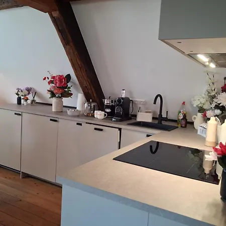 Appartement Herzstueck 1526 - In Der Altstadt, Dachgeschoss Heppenheim (Bergstrasse)